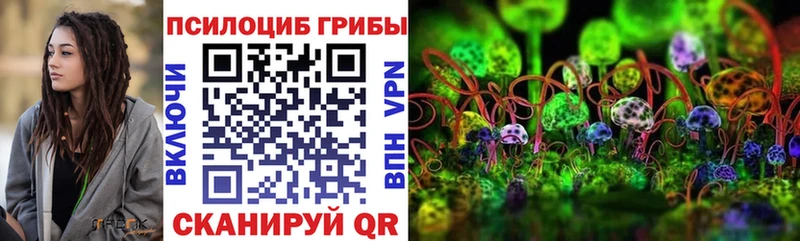 Галлюциногенные грибы Psilocybine cubensis  Борзя 