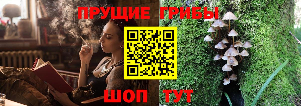 Галлюциногенные грибы мухоморы Борзя