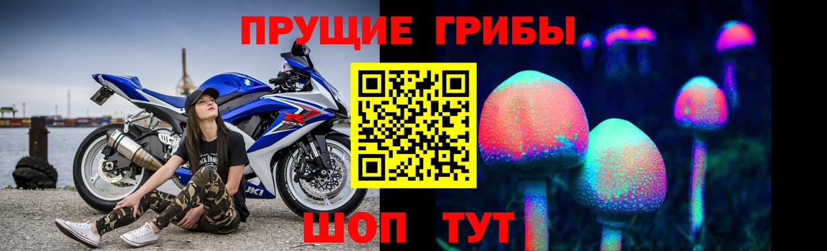 Псилоцибиновые грибы мухоморы  Псилоцибиновые грибы мухоморы  Борзя 