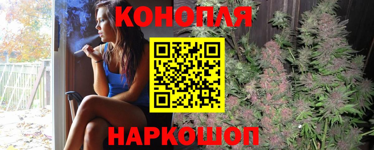 Конопля планчик  Борзя  Бошки марихуана OG Kush 